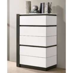 Pape Contemporary 5 Drawer Chest White/Metallic Gray - MiBasics